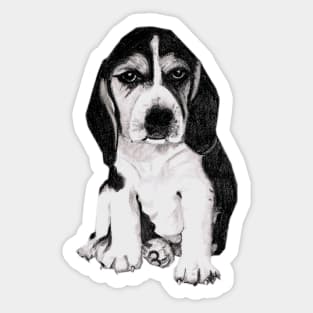 " We are not amused! ".....Beagle puppy Sticker